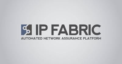 ip fabric preview 13 one third